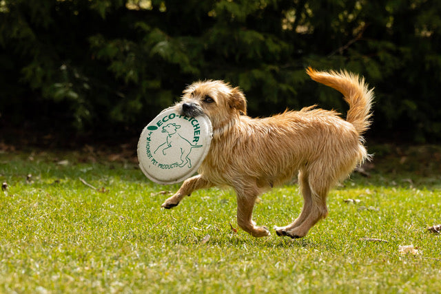 Honestpetproducts