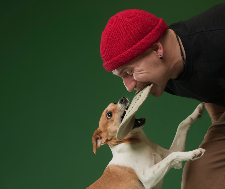 Honestpetproducts