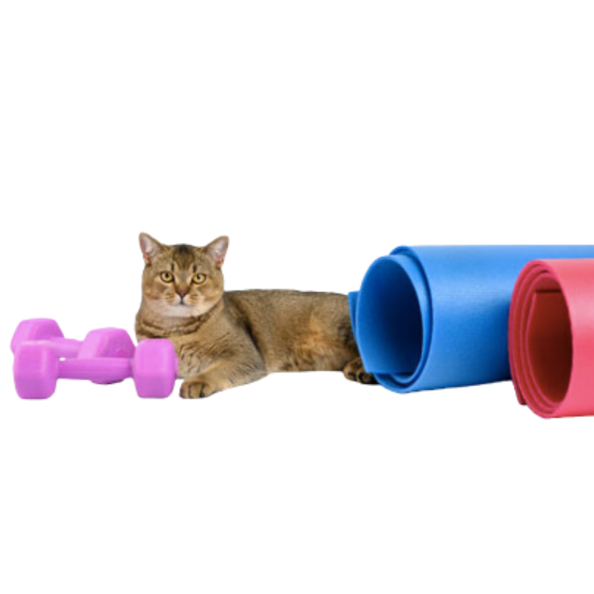 Honestpetproducts