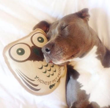 Honestpetproducts