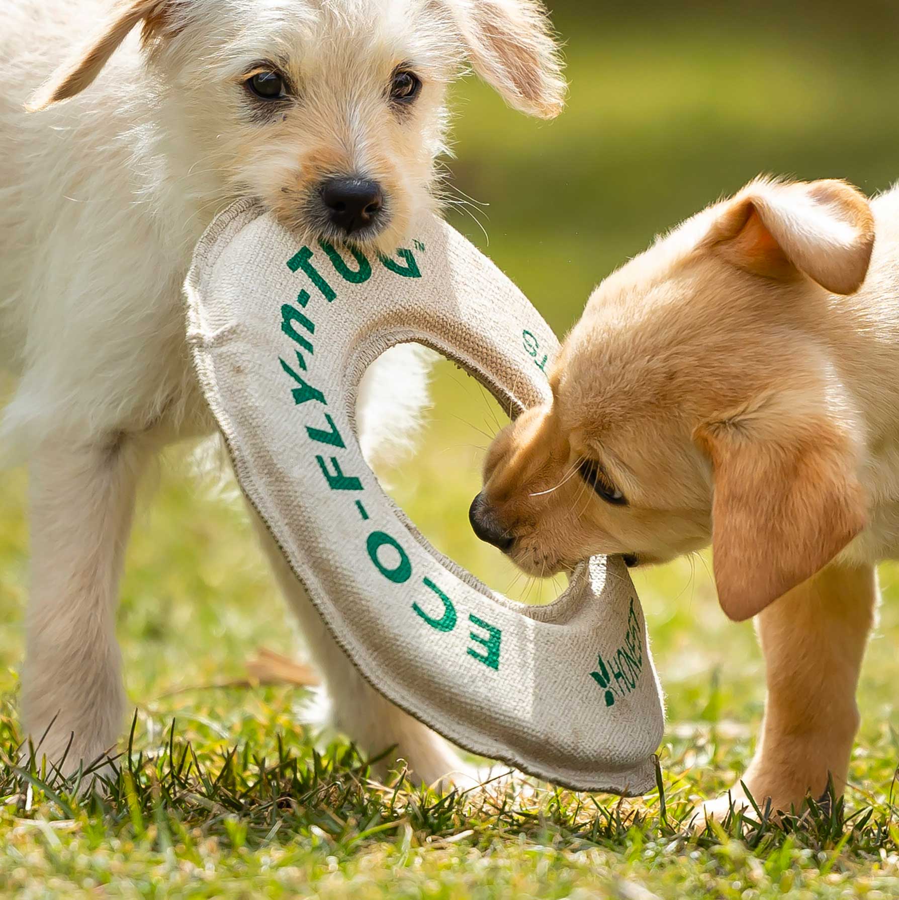 Honestpetproducts