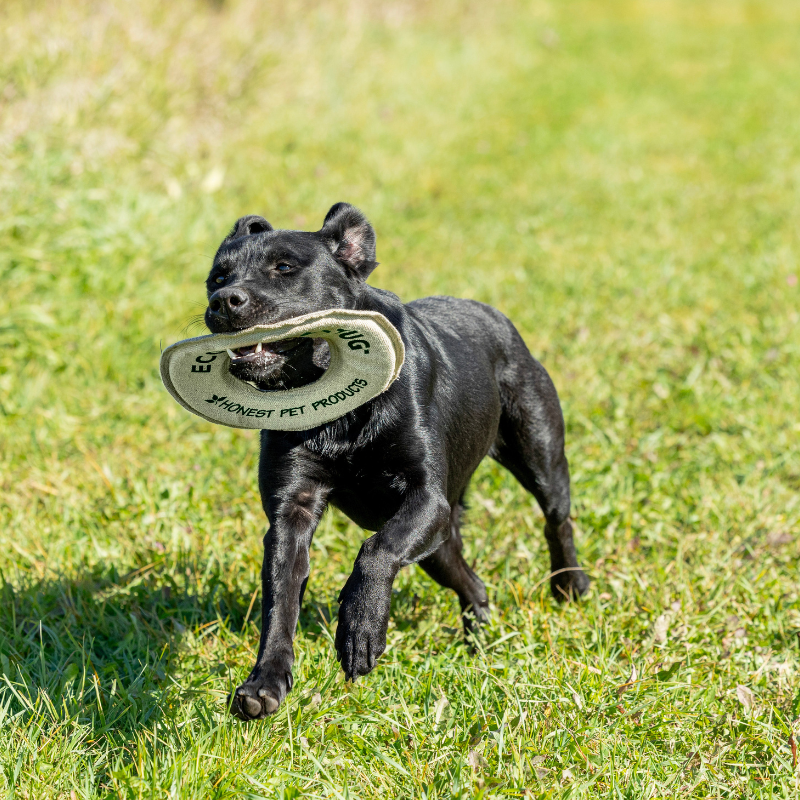 Honestpetproducts