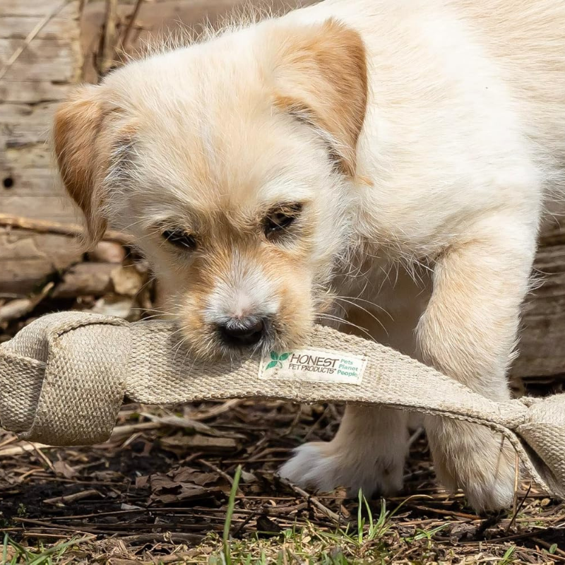 Honestpetproducts