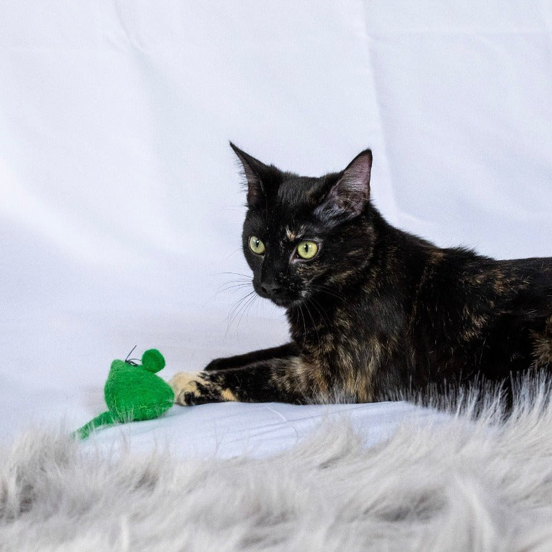 Honestpetproducts
