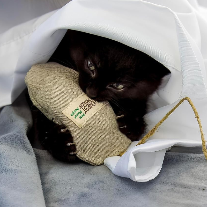 Honestpetproducts