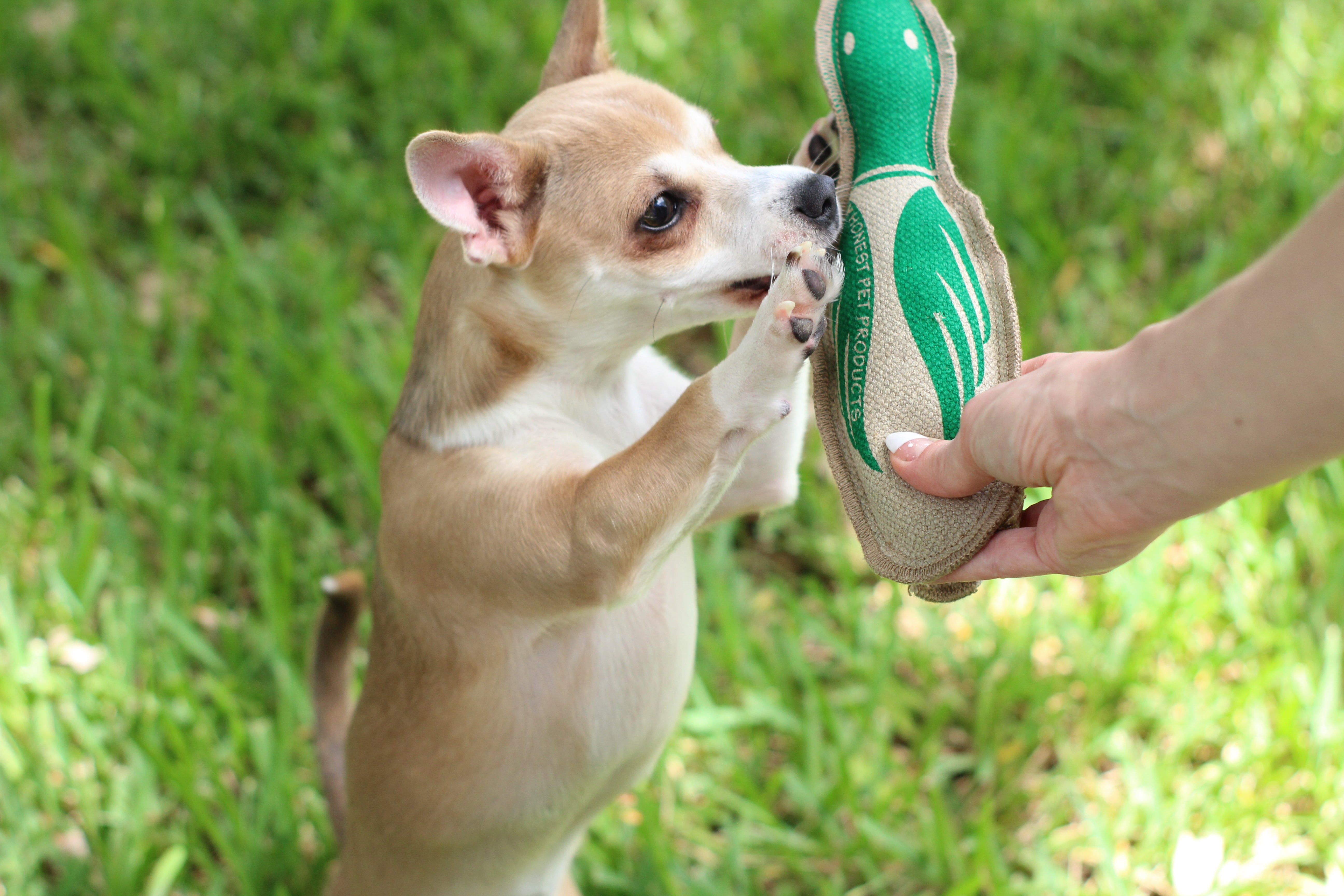 Honestpetproducts