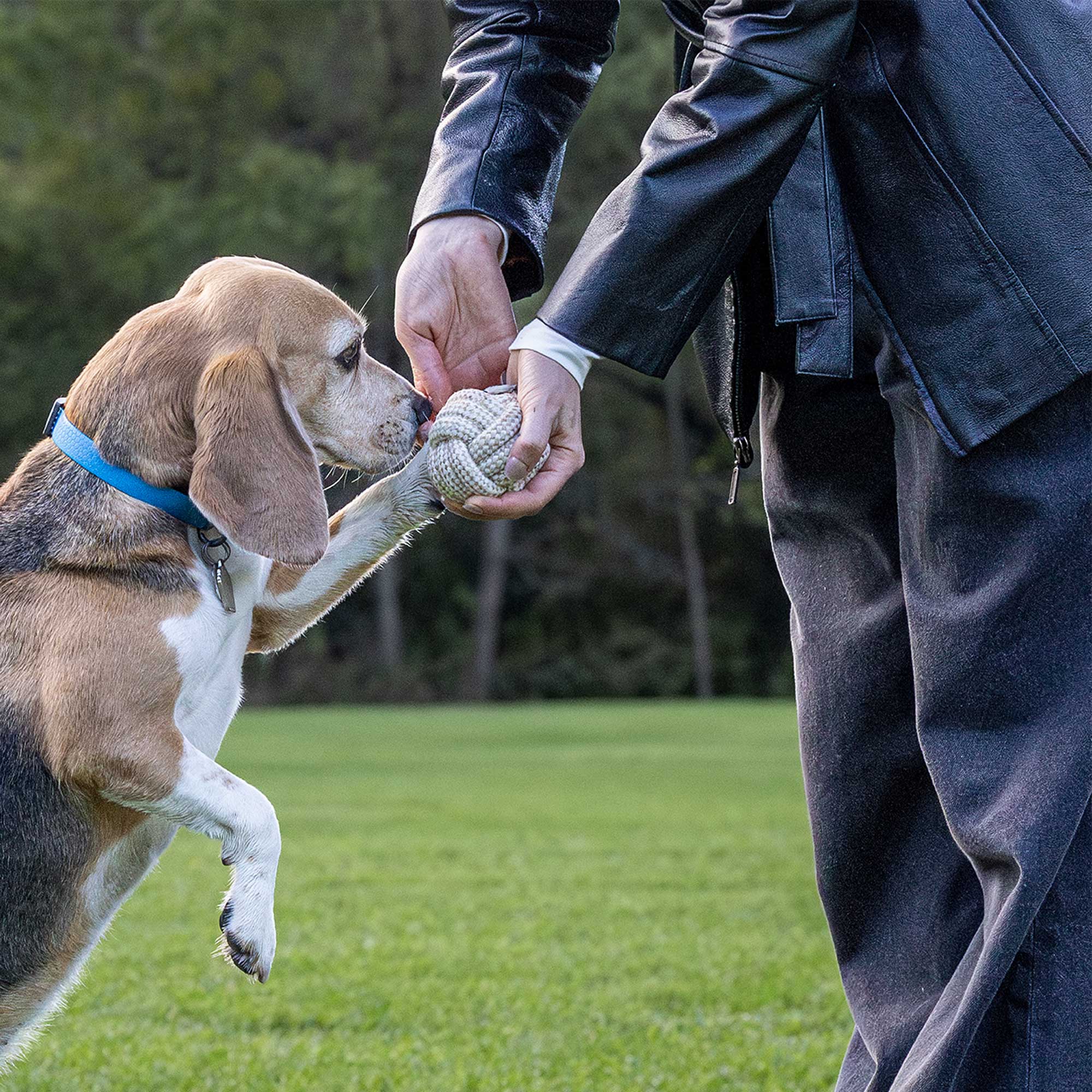 Honestpetproducts