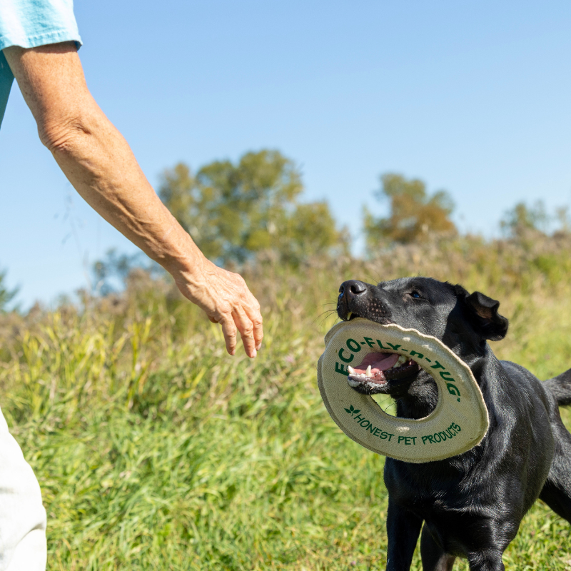 Honestpetproducts