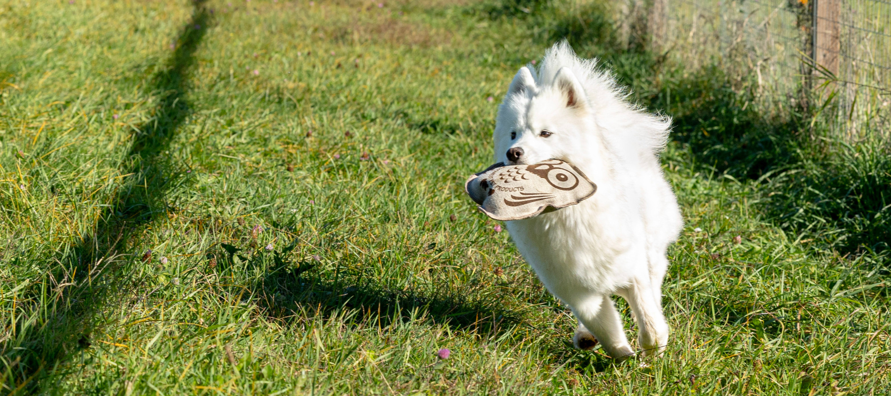 Honestpetproducts